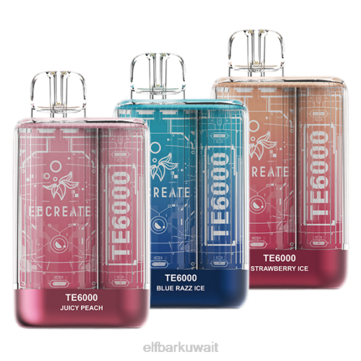 ELFBAR حزمة عينات eb te6000 للمستهلك - 40 ملغ JNFH52